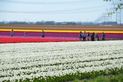 pov_friesland_dag1_125a