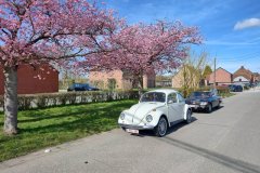 IMG_20250323_110732643_HDR