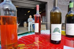 IMG_20250323_154915414
